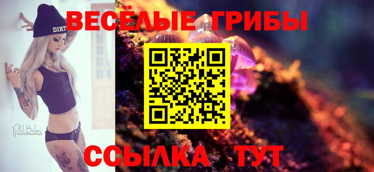 Галлюциногенные грибы Cubensis Заринск