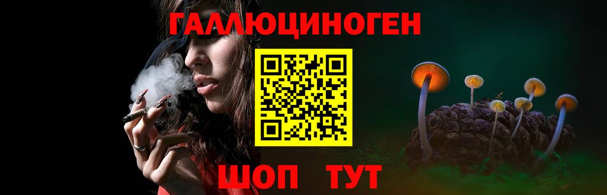 Галлюциногенные грибы Psilocybe  Вход с VPN  Галлюциногенные грибы прущие грибы  Заринск 